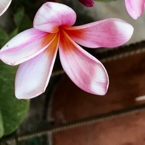 Meet your Posher, Sal